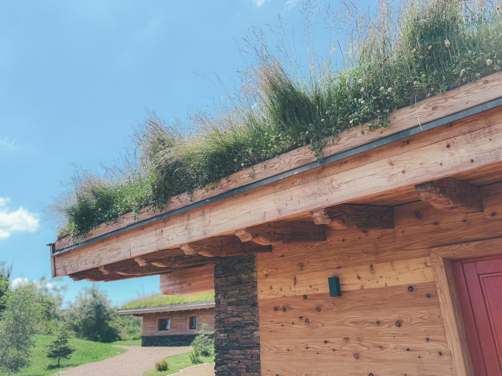 Chalets Resort Cínovec Exterior photo
